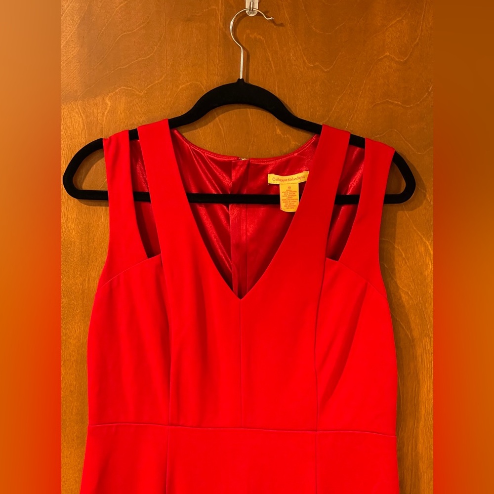Catherine Malandrino Sleeveless Cold Collar Red V-Neck Sheath Dress - size 10